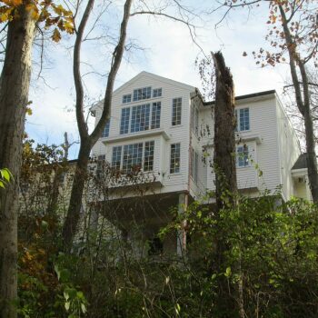 ground view of treehouse from distance