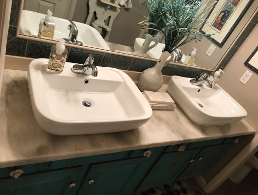 top view of two sinks on counter with plant
