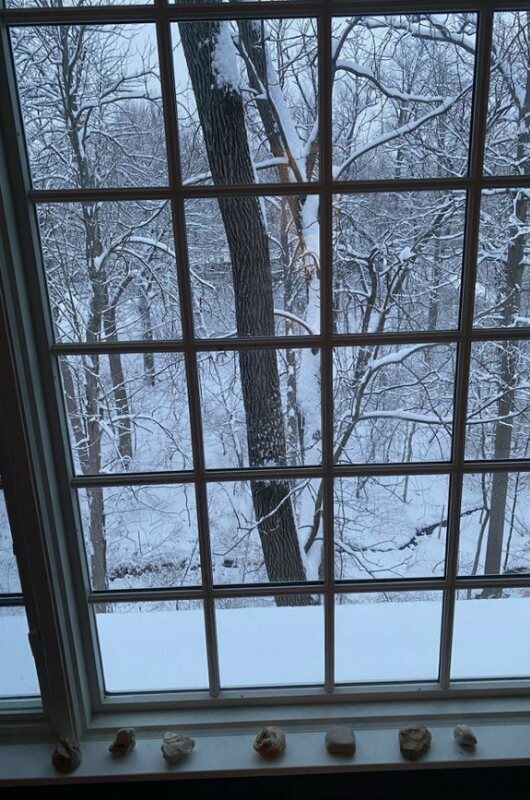 looking out window to snow